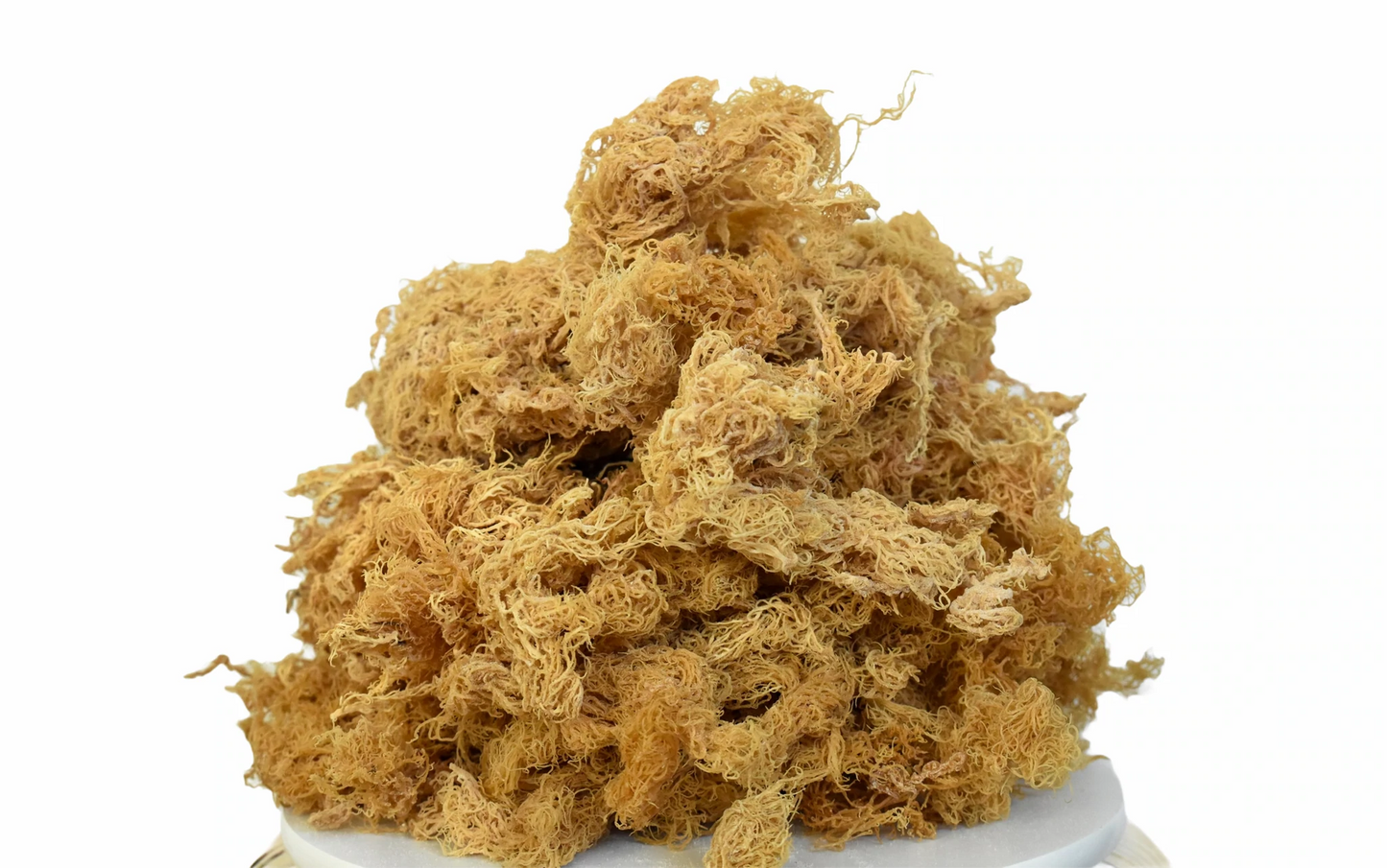 St. Lucia Premium Gold Wildcrafted Raw Sun Dried Sea Moss
