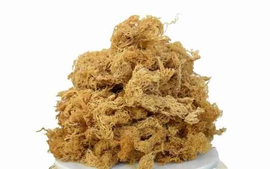 St. Lucia Premium Gold Wildcrafted Raw Sun Dried Sea Moss