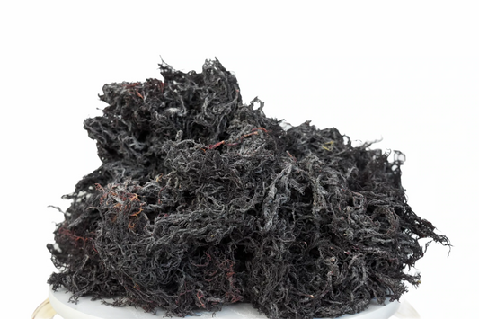 St. Lucia Premium Purple Wildcrafted Raw Sun dried Sea Moss