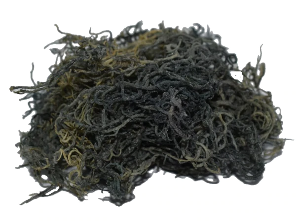 St. Lucia Premium Green Wildcrafted Raw Sun dried Sea Moss